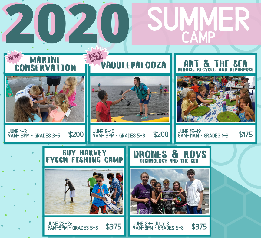 Summer Camps 2020 flyer